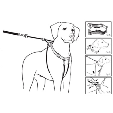 WalkRite Anti-Pull Harness XL